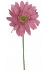  Gerbera tumši rozā 60cm