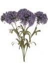  Balderjāņa ziedi zilganvioleti buntīte 5gab
