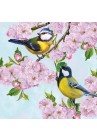 Salvetes putni Tits on Cherry Blossom Twig 1pac