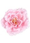  Peonijas rozā galviņas 13cm