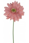  Gerbera gaiši rozā 60cm