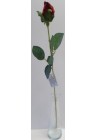  Roze sarkana pumpurs 54cm