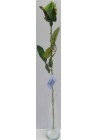  Roze zaļgana pumpurs 54cm