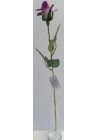 Roze violeta pumpurs 54cm